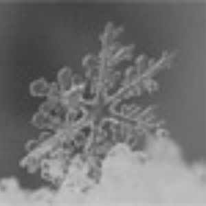 Meet your Posher, Paolo